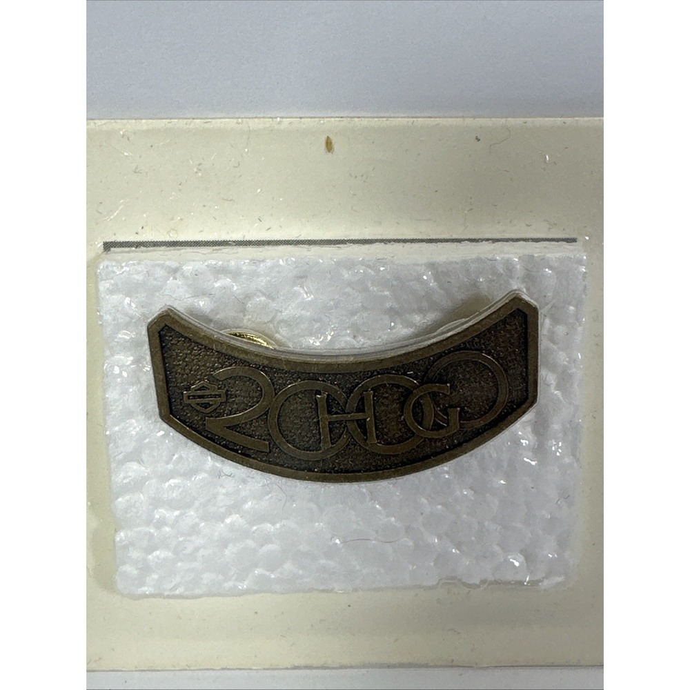 Harley Davidson Owners Group HOG Member Pin for Jacket Vest Hat Lapel Motorcycle